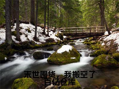 慕萱秦睿末世囤货,我搬空了百亿仓库在线小说-末世囤货,我搬空了百亿仓库全文无删减版阅读