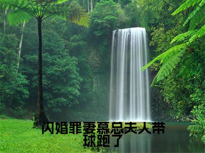温尔晚慕言深是哪部小说的主角,闪婚罪妻慕总夫人带球跑了免费阅读全文大结局