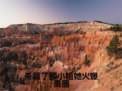 （杀疯了顾小姐她火爆贵圈）全文免费阅读无弹窗大结局-顾念薄穆琛全文阅读无弹窗