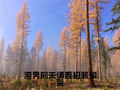 沈宜裴知贺(渣男前夫请看招裴知贺)全文在线阅读无弹窗大结局_沈宜裴知贺精选免费小说大结局阅读_渣男前夫请看招裴知贺