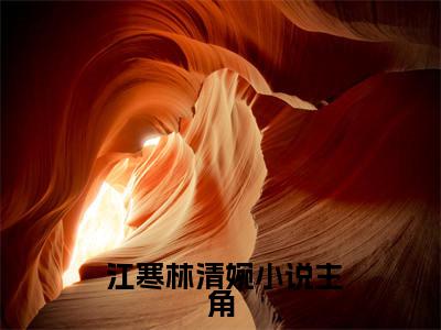 南有江渐寒（ 江寒林清婉）多人推荐阅读-精选小说（ 江寒林清婉）完整版免费阅读