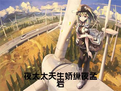 夜太太天生娇纵夜孟岩小说全文-影今夜孟岩无弹窗免费阅读
