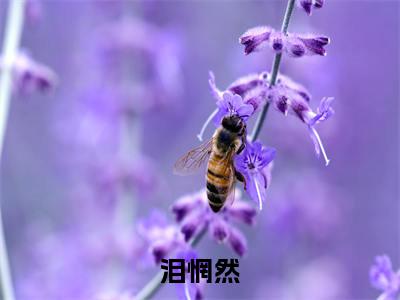 泪惘然小说(姬南牧阳)全文免费阅读无弹窗大结局_泪惘然完整版最新阅读_笔趣阁(姬南牧阳)