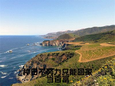 应晚（种田不努力只能回家当首富全文小说）全文免费阅读无弹窗大结局_种田不努力只能回家当首富全文免费阅读最新章节列表