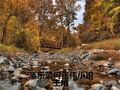 暖婚之法医冷妻（ 高乐灵何正伟）小说无删减版免费阅读- 高乐灵何正伟精彩章节推荐阅读
