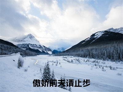 傲娇前夫请止步(林晚陆子池)全本完整版免费阅读_(傲娇前夫请止步)林晚陆子池全文章节目录_笔趣阁