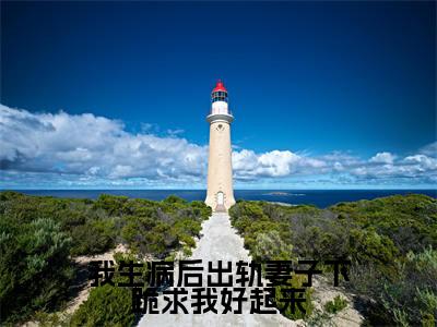 我生病后出轨妻子下跪求我好起来全文免费阅读无弹窗大结局_沈雪贺知书最新章节列表_笔趣阁