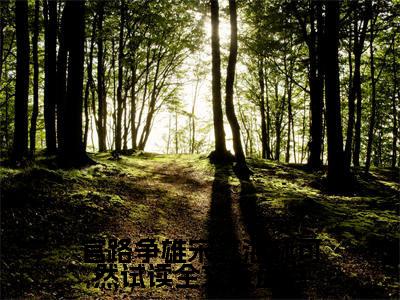 官路争雄宋立海林可然试读全文版（ 宋立海林可然）精彩小说-小说 宋立海林可然全文无删减版免费阅读