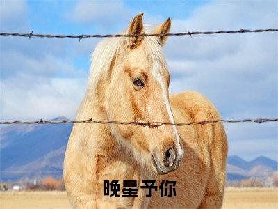 晚星予你(宋晚星靳泽)全文免费阅读无弹窗大结局_(宋晚星靳泽)免费阅读无弹窗最新章节列表