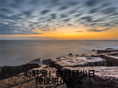 (心肝宠!霸道顾少日撩夜哄小乖宝)全文免费阅读无弹窗大结局_(沈唯顾舟淮)章节列表_笔趣阁