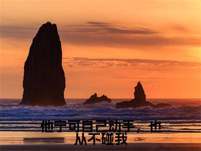 他宁可自己动手，也从不碰我小说（江凌安叶茵贝）全章节完整版免费小说_他宁可自己动手，也从不碰我最新章节在线阅读_笔趣阁