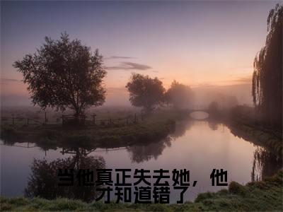 当他真正失去她,他才知道错了小说(衡君言景汐)全文免费阅读无弹窗大结局_(衡君言景汐)最新章节列表(衡君言景汐)