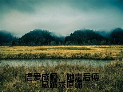 虐爱成瘾,她走后傅总跪求原谅全文免费阅读无弹窗大结局_虐爱成瘾,她走后傅总跪求原谅(宁栀傅欲行)最新章节列表_笔趣阁