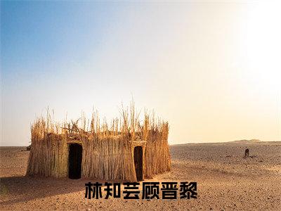 顾晋黎林知芸(林知芸顾晋黎)全文免费阅读无弹窗大结局_林知芸顾晋黎_笔趣阁