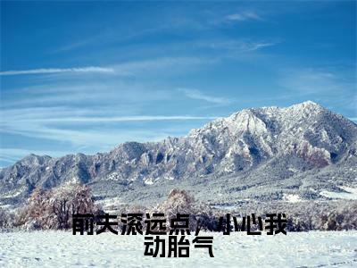 前夫滚远点,小心我动胎气(苏堇顾知珩)全文免费阅读无弹窗大结局_前夫滚远点,小心我动胎气全文免费阅读最新章节列表