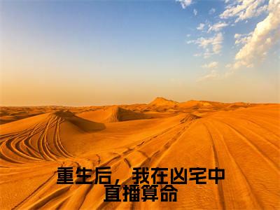 《重生后，我在凶宅中直播算命》无弹窗大结局-（叶灵徐招娣）无弹窗阅读最新章节列表_笔趣阁
