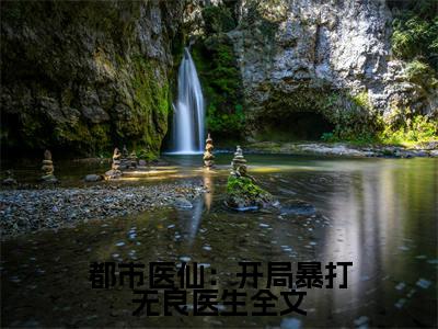 都市医仙：开局暴打无良医生（ 张一元刘银标）小说全文免费阅读无弹窗-都市医仙：开局暴打无良医生全章节在线阅读