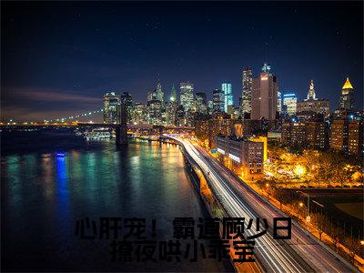 沈唯顾舟淮（心肝宠！霸道顾少日撩夜哄小乖宝）全网首发小说-小说心肝宠！霸道顾少日撩夜哄小乖宝（沈唯顾舟淮）完整版全文在线赏析
