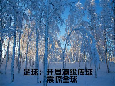 足球：开局满级传球，震惊全球（史蒂文苏白）全文免费阅读无弹窗_史蒂文苏白小说_笔趣阁