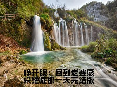  江晓白林嘉音小说完整版阅读-小说睁开眼：回到老婆感染绝症那一天全文免费阅读