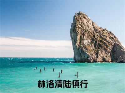 林洛清陆慎行(陆慎行林洛清)全文免费阅读无弹窗大结局_林洛清陆慎行小说免费最新章节列表_笔趣阁