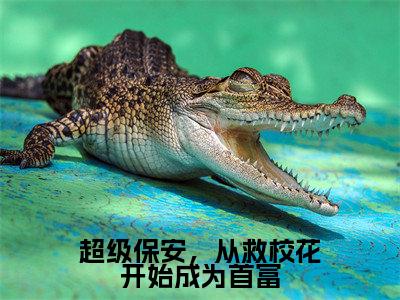 肖峰超级保安,从救校花开始成为首富全文阅读 肖峰免费阅读无弹窗