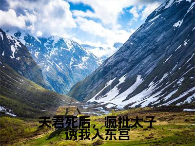 夫君死后，疯批太子诱我入东宫（卫景沉薛妤）全文免费阅读无弹窗大结局_夫君死后，疯批太子诱我入东宫免费阅读无弹窗最新章节列表_笔趣阁