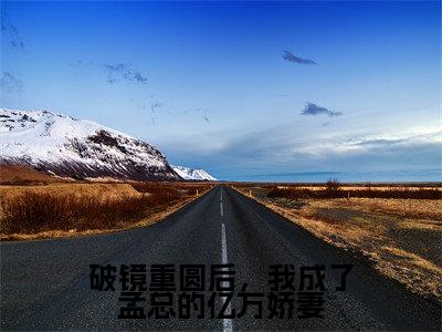 破镜重圆后,我成了孟总的亿万娇妻免费阅读宋语嫣孟南城最新章节目录