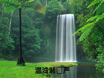 温泠裴璟严小说(裴璟严温泠)全文免费阅读_(裴璟严温泠)温泠裴璟严最新章节列表笔趣阁