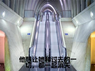 桑雉凤祁小说叫什么名字（他想让她和过去的一切，都一起消失）完整版大结局-桑雉凤祁小说在线阅读