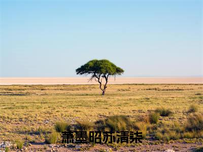 萧墨昭苏清柒(苏清柒萧墨昭)小说全文免费阅读无弹窗大结局_(苏清柒萧墨昭免费阅读)萧墨昭苏清柒最新章节列表笔趣阁