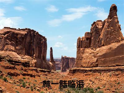  林一陆临海（惊悚求生：被怪物饲养的那些年）小说结局- 林一陆临海全文无弹窗阅读