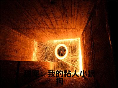甜宠:我的粘人小狼狗(凌月江驰全文在线阅读)-甜宠:我的粘人小狼狗(凌月江驰)免费阅读