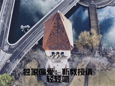 时宁靳宴时免费小说(独家偏爱:靳教授请轻轻吻)全文免费阅读_时宁靳宴时免费小说时宁靳宴时小说最新章节列表笔趣阁