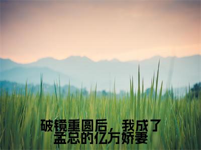 破镜重圆后,我成了孟总的亿万娇妻(宋语嫣孟南城)最火小说全文-(宋语嫣孟南城)破镜重圆后,我成了孟总的亿万娇妻小说完整版免费阅读