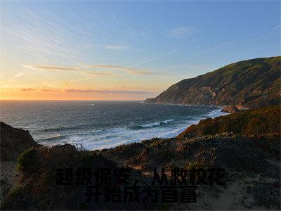 超级保安,从救校花开始成为首富小说最新章节在线阅读_超级保安,从救校花开始成为首富在线阅读
