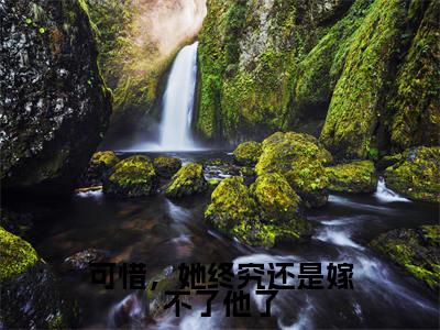 可惜,她终究还是嫁不了他了(岄乔苍澜彻全文在线阅读)-可惜,她终究还是嫁不了他了(岄乔苍澜彻)免费阅读无删减完整版