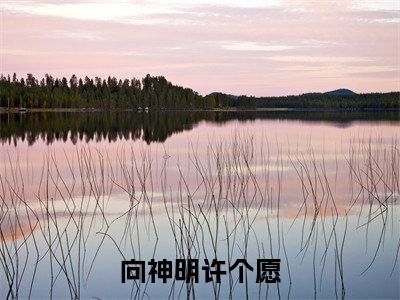 向神明许个愿小说（郁唯一林见深）全文免费阅读无弹窗大结局_郁唯一林见深小说最新章节列表_笔趣阁