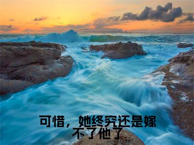 可惜,她终究还是嫁不了他了小说(岄乔苍澜彻)全文免费阅读无弹窗大结局_(岄乔苍澜彻免费阅读)最新章节列表_笔趣阁(岄乔苍澜彻)