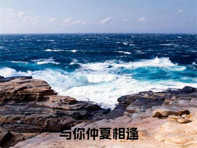 程姩陆司城最新章节(与你仲夏相逢)全文免费阅读无弹窗大结局_与你仲夏相逢小说全文免费阅读正版无弹窗