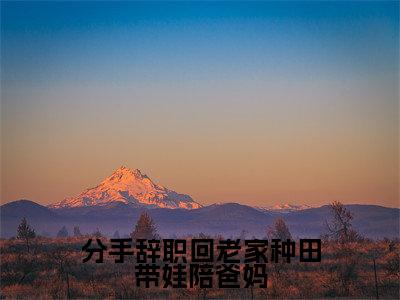 分手辞职回老家种田带娃陪爸妈小说（乔叶初）全文免费分手辞职回老家种田带娃陪爸妈阅读无弹窗大结局-（乔叶初）笔趣阁