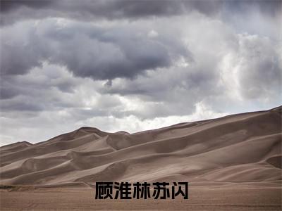 林苏闪顾淮（完整版）小说推荐-林苏闪顾淮热文小说顾淮林苏闪免费阅读全文