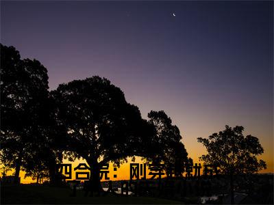 （ 苏尘刘雯惜）全文免费阅读无弹窗大结局_（四合院：刚穿越就成了别人的夫婿全文免费） 苏尘刘雯惜小说最新章节列表_笔趣阁