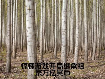 惊悚游戏开局继承祖宗万亿冥币小说最新试读_(陈寻免费阅读最新章节列表)_笔趣阁
