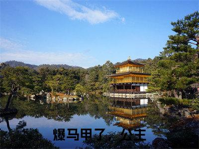 爆马甲了,公主(傅子荼许清岩)无弹窗小说免费阅读_爆马甲了,公主最新章节免费阅读_笔趣阁