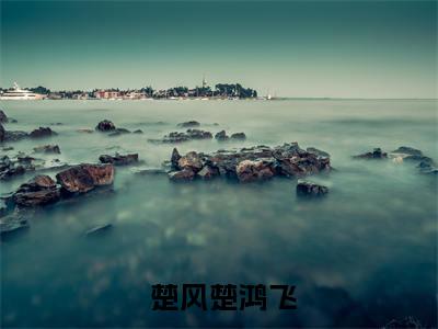 绝世修罗小说（ 楚风楚鸿飞）全文免费阅读无弹窗大结局_( 楚风楚鸿飞)绝世修罗小说无弹窗精彩阅读_笔趣阁