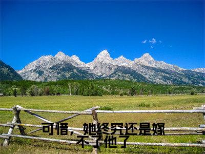 岄乔苍澜彻小说全文（可惜，她终究还是嫁不了他了）全文免费阅读无弹窗大结局_可惜，她终究还是嫁不了他了小说免费最新章节列表