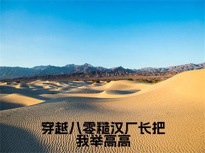 林稚全文免费阅读大结局-穿越八零糙汉厂长把我举高高最新章节阅读