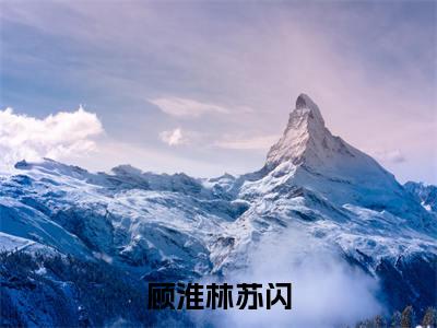 顾淮林苏闪(林苏闪顾淮)全文免费阅读无弹窗大结局_(林苏闪顾淮小说免费阅读)_笔趣阁