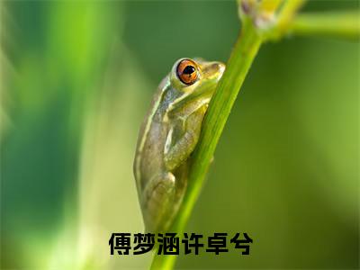 傅梦涵许卓兮全文免费阅读全文免费阅读无弹窗大结局_傅梦涵许卓兮全文免费阅读